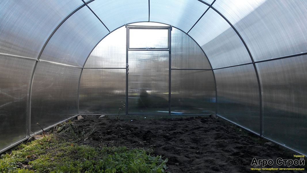 Теплица внутри