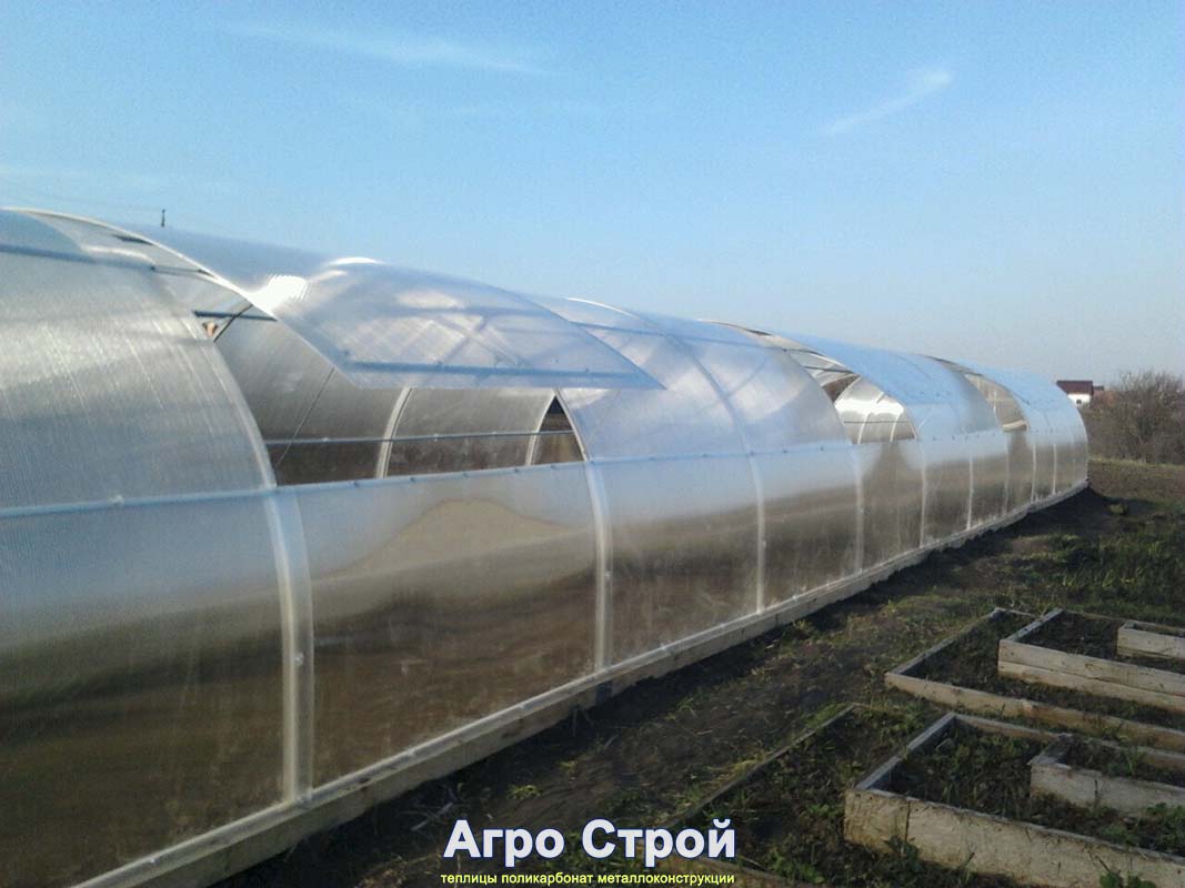 Теплица 3х24 м