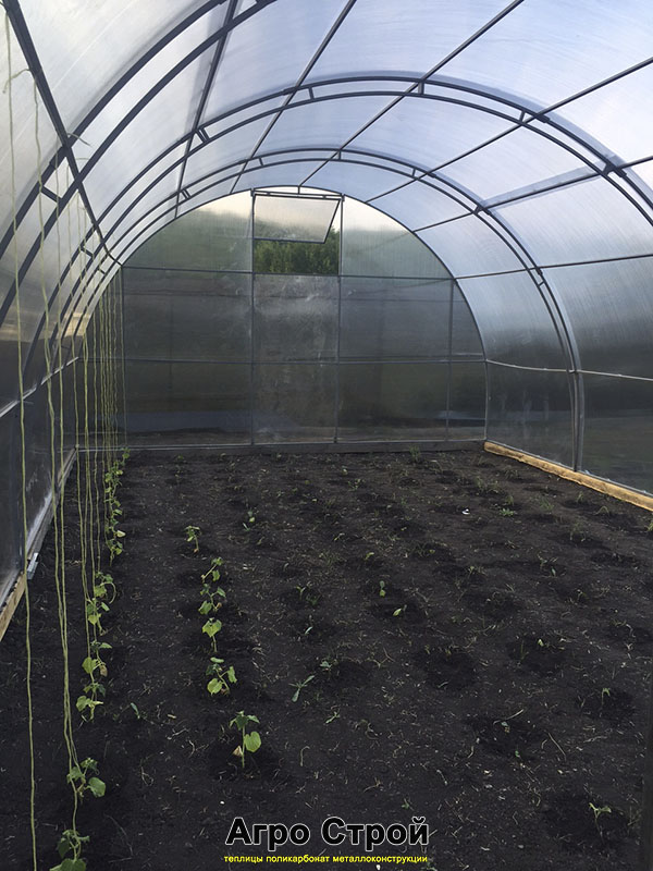 Теплица 5х8м Теплица 5х8м