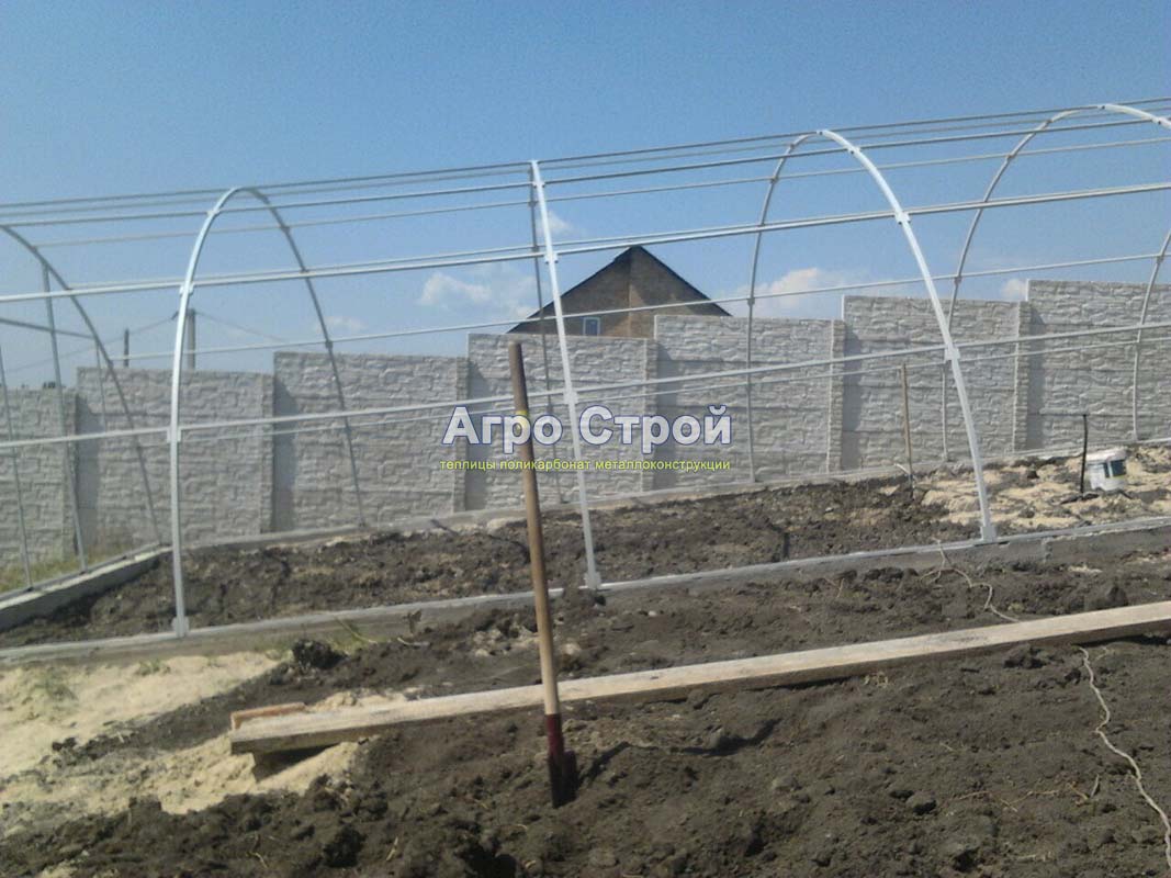 Стандартная теплица 6х16 м