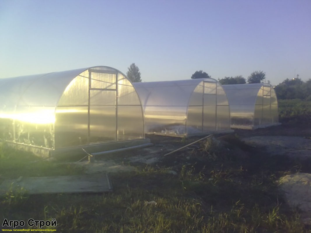 Тепличный комплекс из 3 теплиц 3х10м