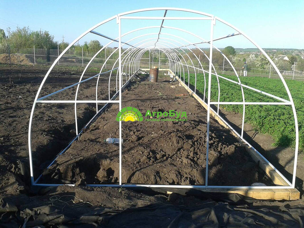 Большая поликарбонатная теплица 3x26 метров