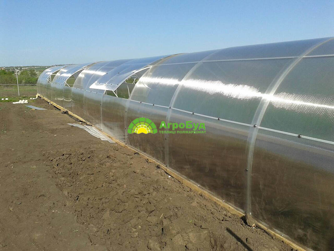 Большая поликарбонатная теплица 3x26 метров