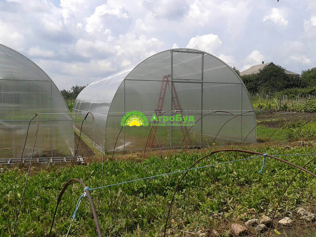Фермерская теплица 5х12 метров