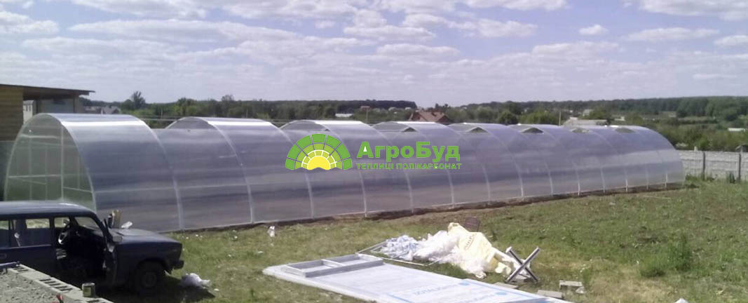 Теплица 6х30 метров