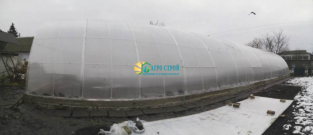 Теплица из поликарбоната 8x24 метров
