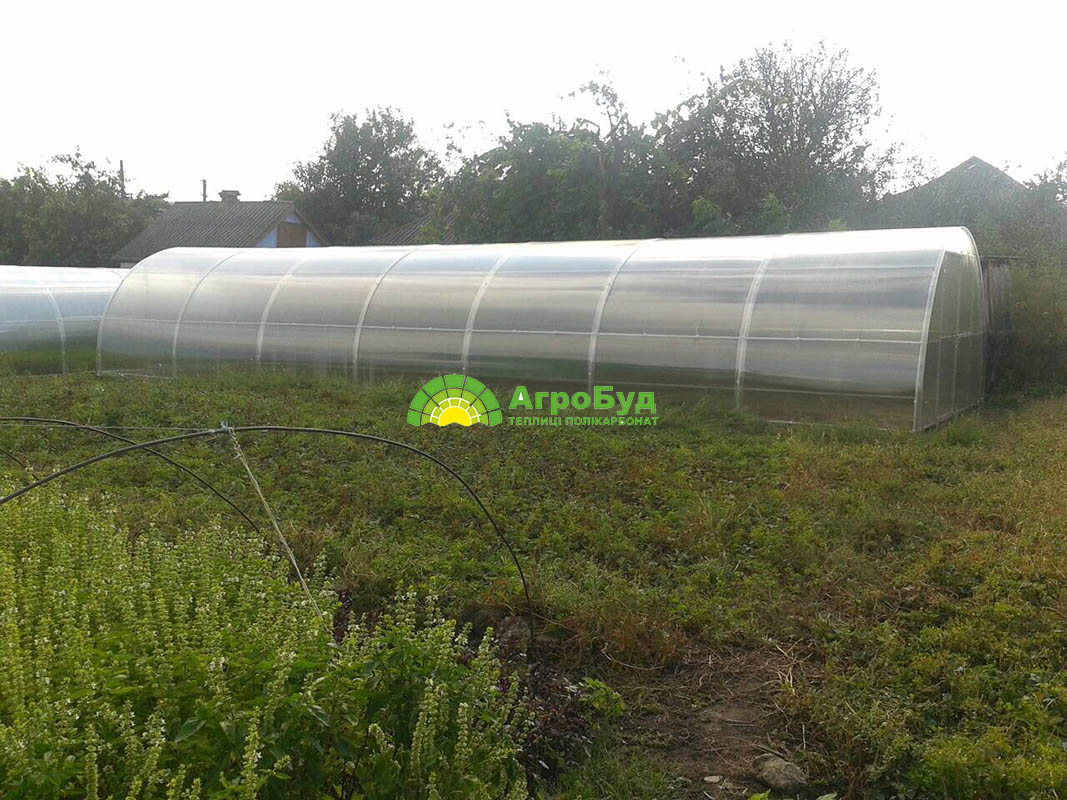 Тепличный комплекс в Винницкой области